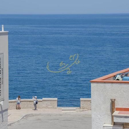 Вілла Td Casa Marevino Seaside Terrace With Panoramic Views Поліньяно-а-Маре Екстер'єр фото